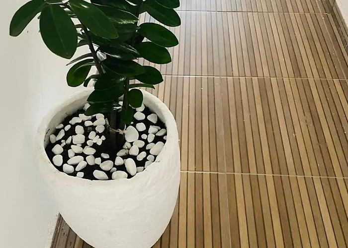 Novo Apartamento Liz 1 Porto Seguro